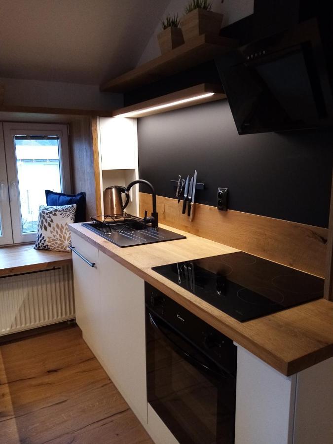 Apartman Jeseniky Karlovice  エクステリア 写真